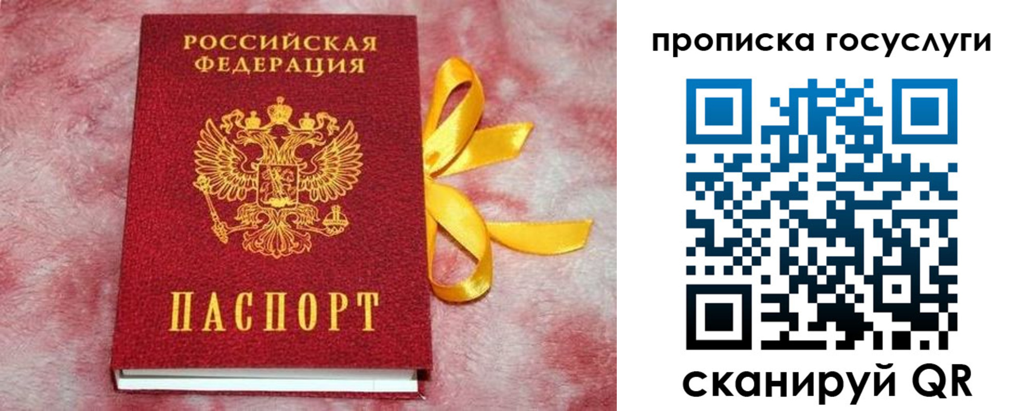 прописка законно в Зеленоградске